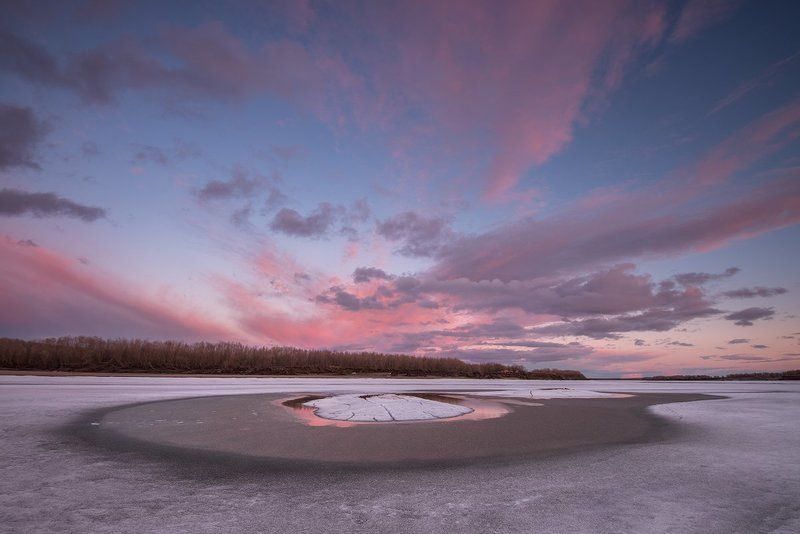 Этюд в розовых тонах фото превью