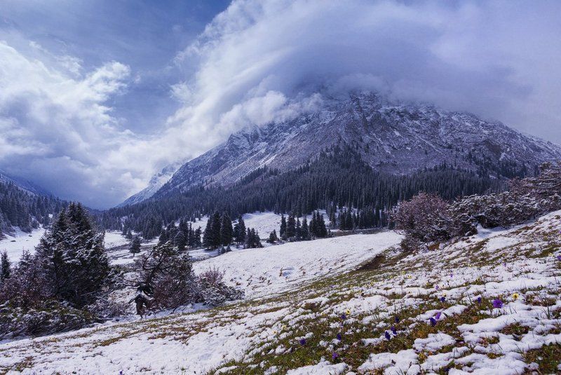 Киргизия. Долина реки Арашан фото превью