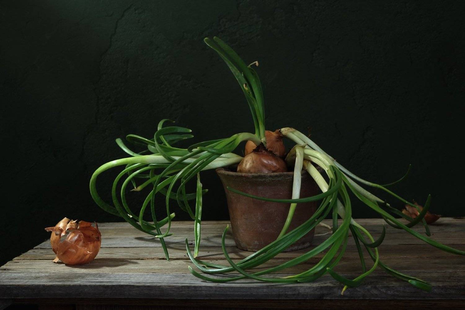 , Киливник Наталия(Metron)