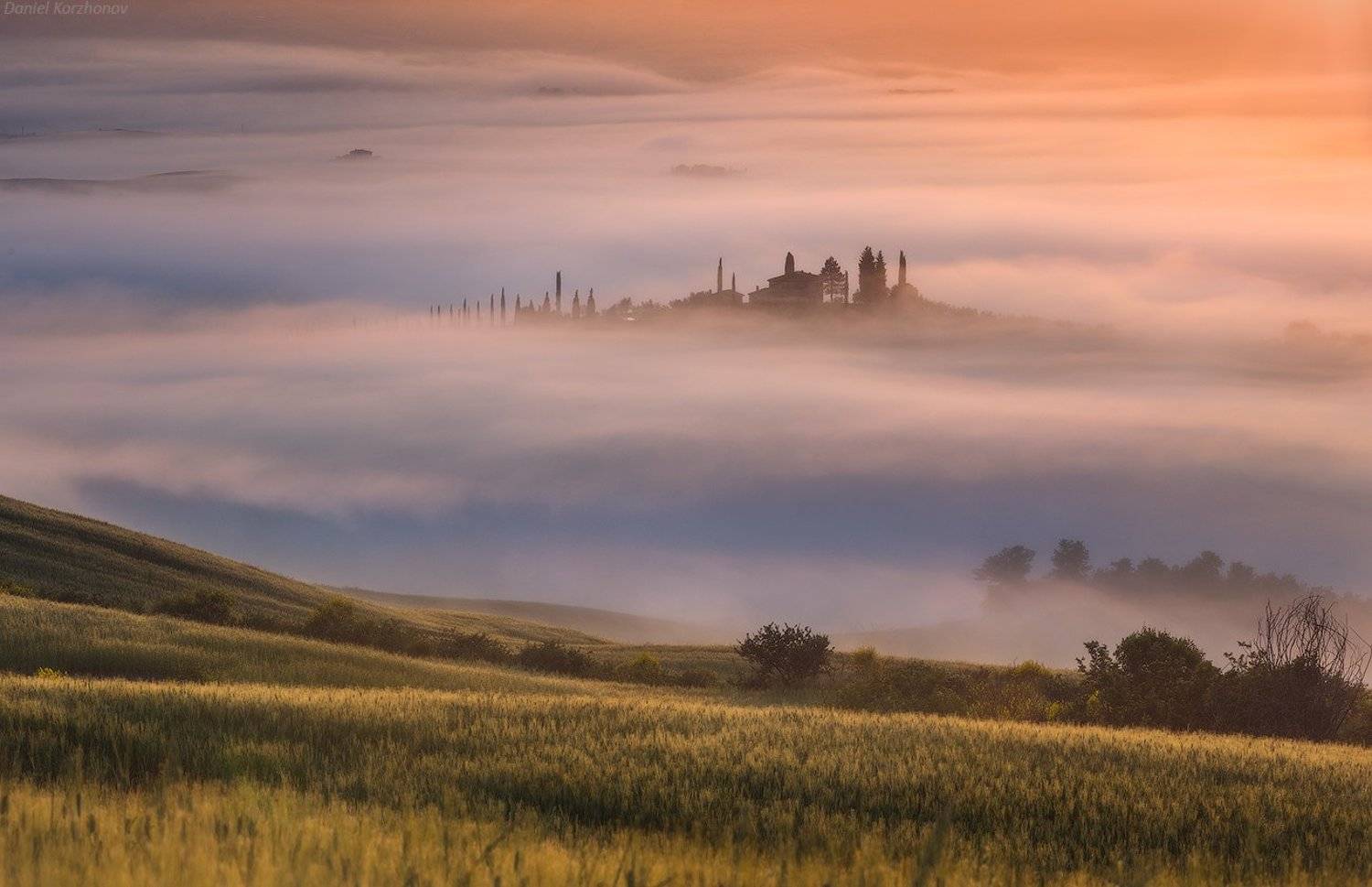 Тоскана, Даниил Коржонов