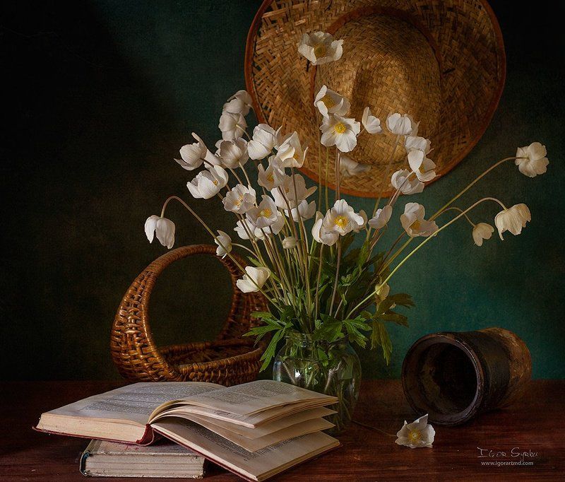 Anemones фото превью