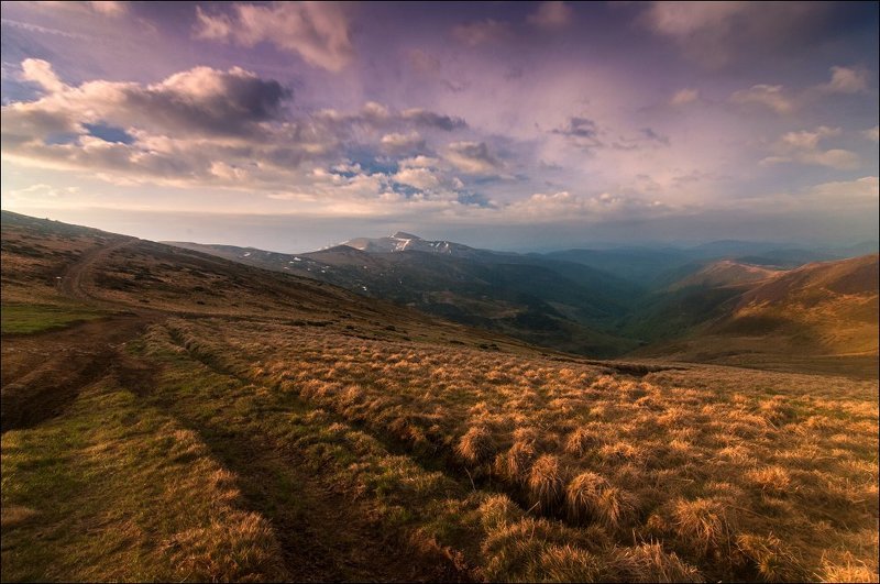 ... фото превью