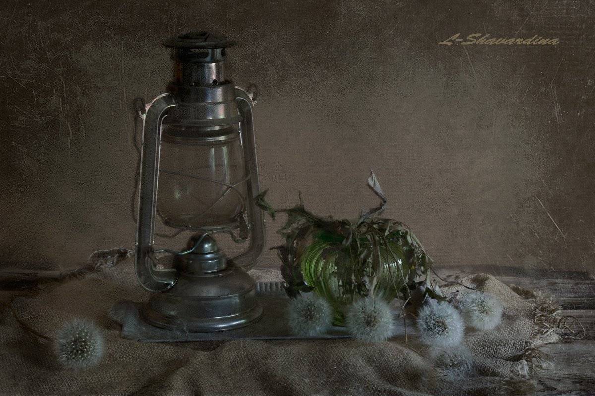 , Елизавета Шавардина