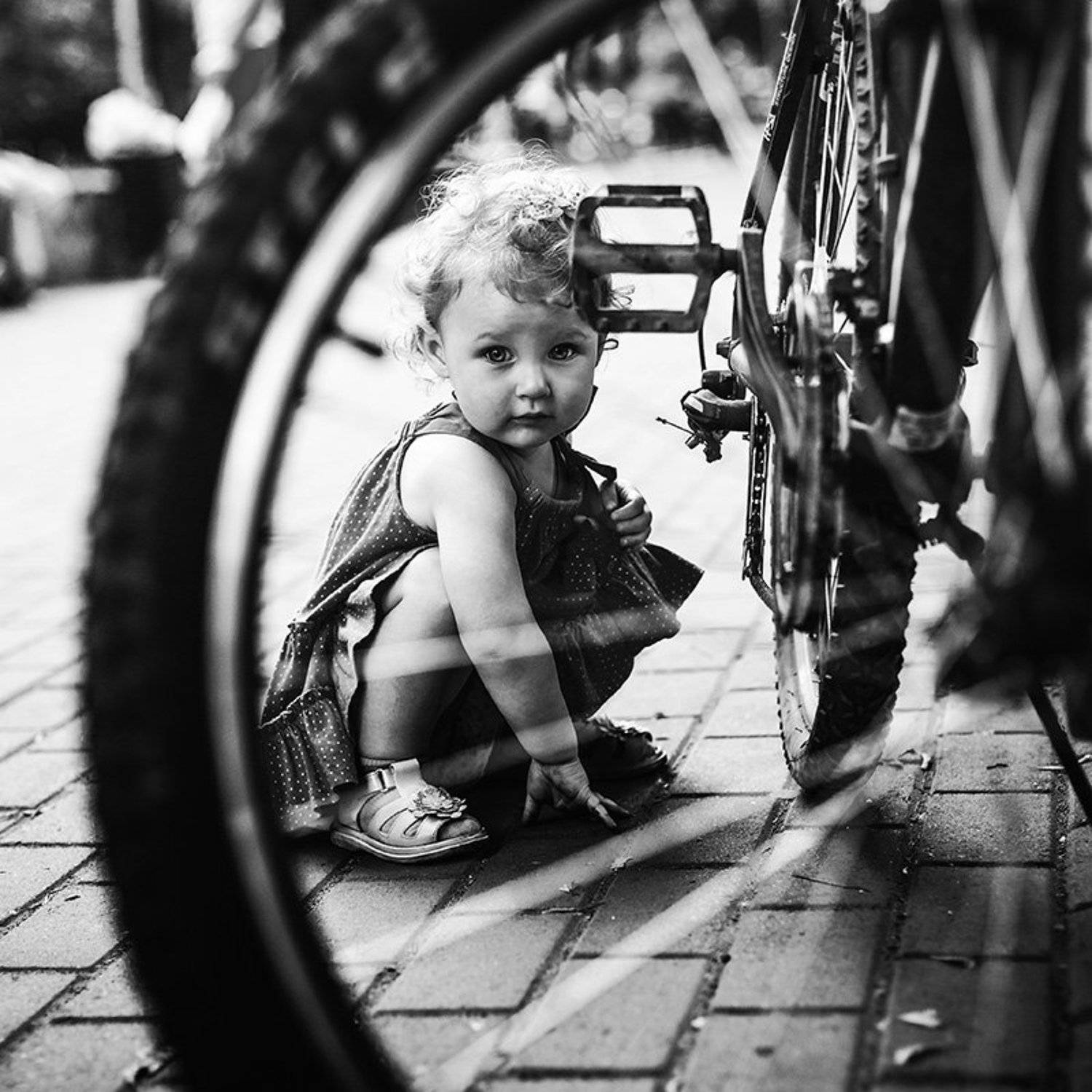 , Белый Дима