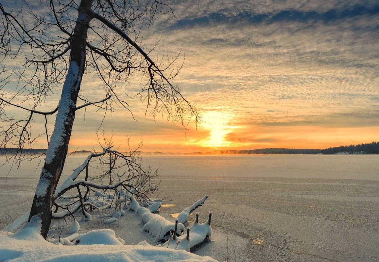 , Евгений Плетнев