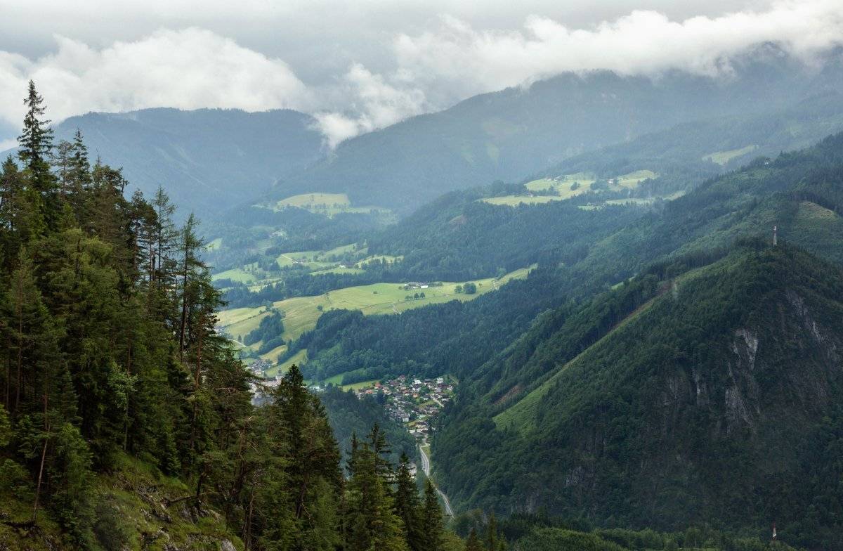 , Александр Удовиченко