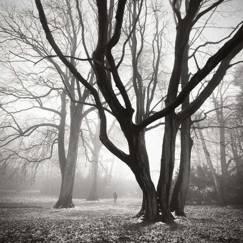 Entwined arms фото превью