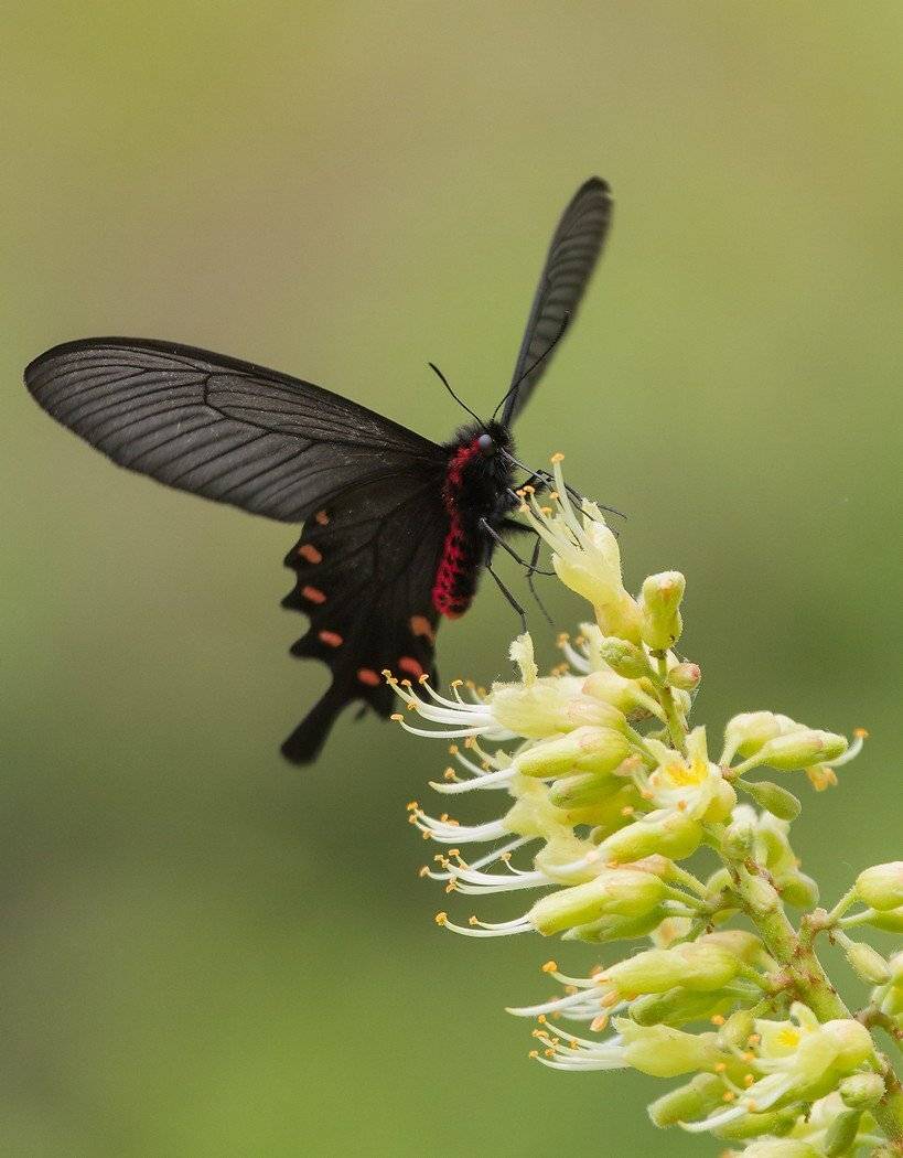 , Евгений Слободской