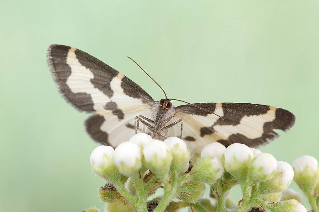 , Сергей Таланов