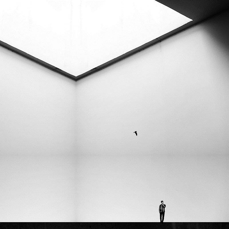 Bird, Concept, Fine art, Fineart, Milad safabakhsh, Miladsafabakhsh, minimal, Square, milad safabakhsh