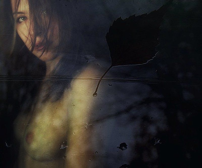 ____ фото превью