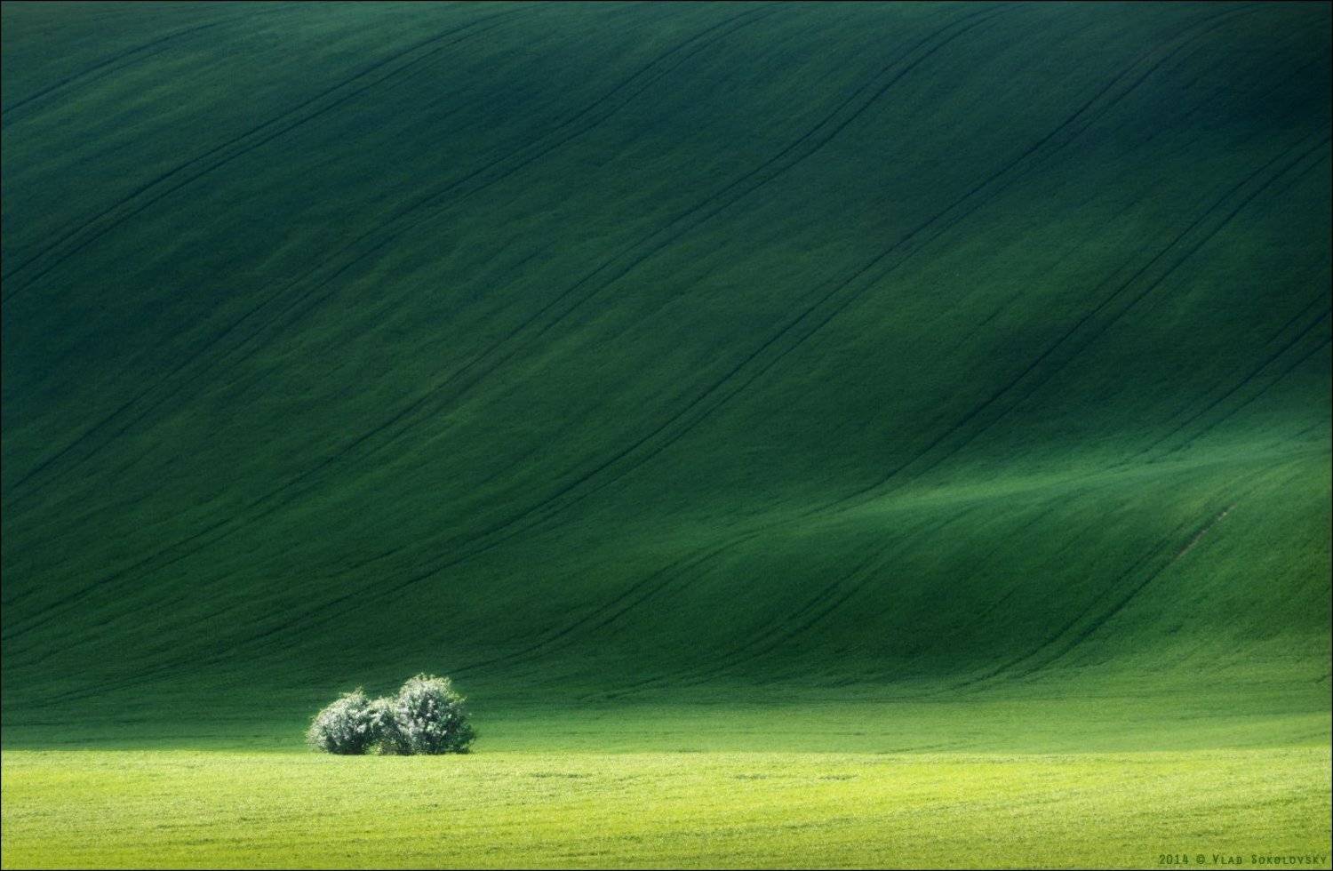 , Влад Соколовский