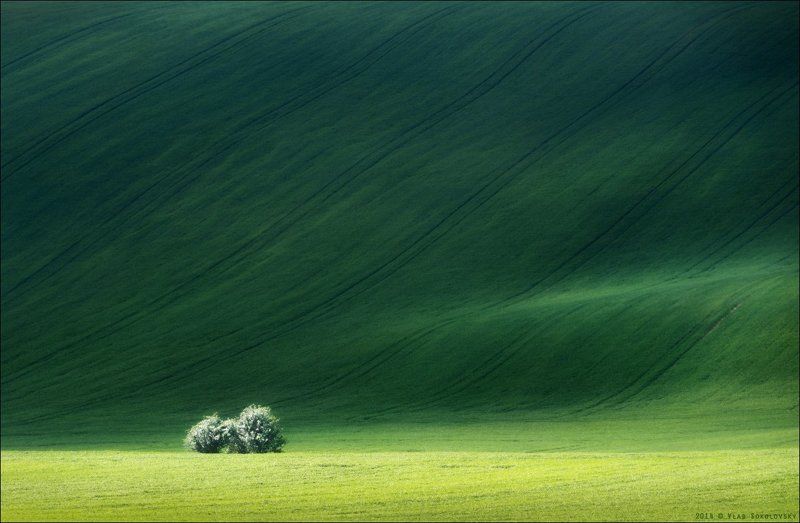/ ЦУНАМИ / фото превью