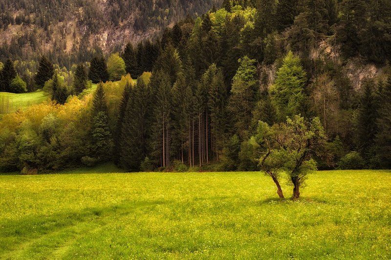 ... фото превью