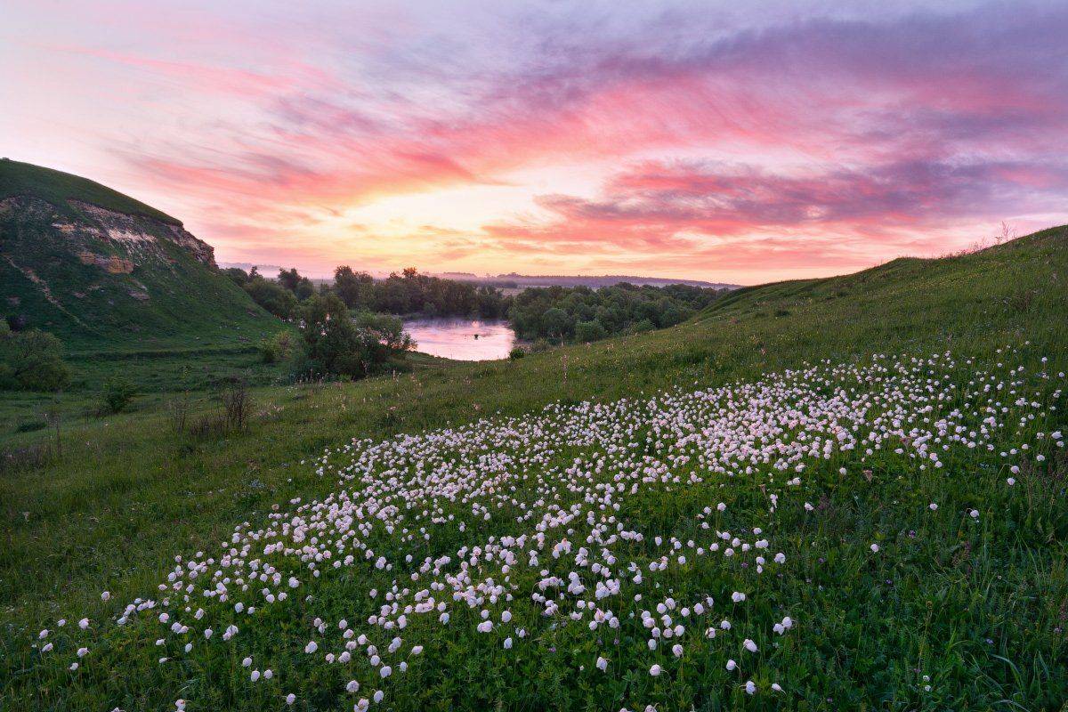 , Жмак Евгений