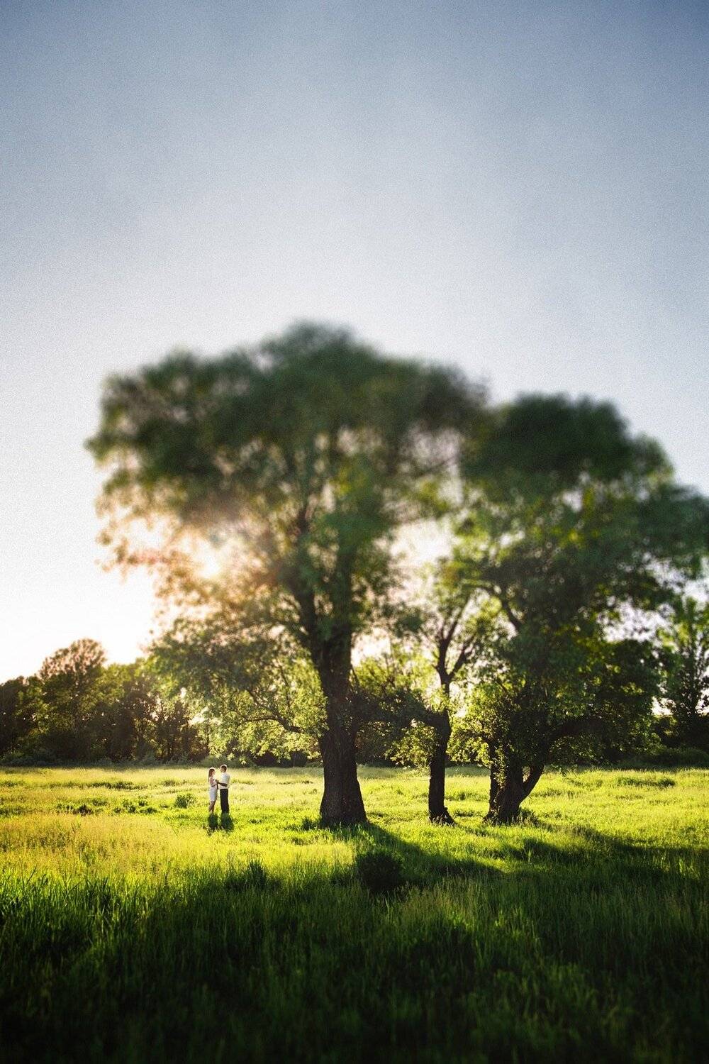 , Алексей Гуляев