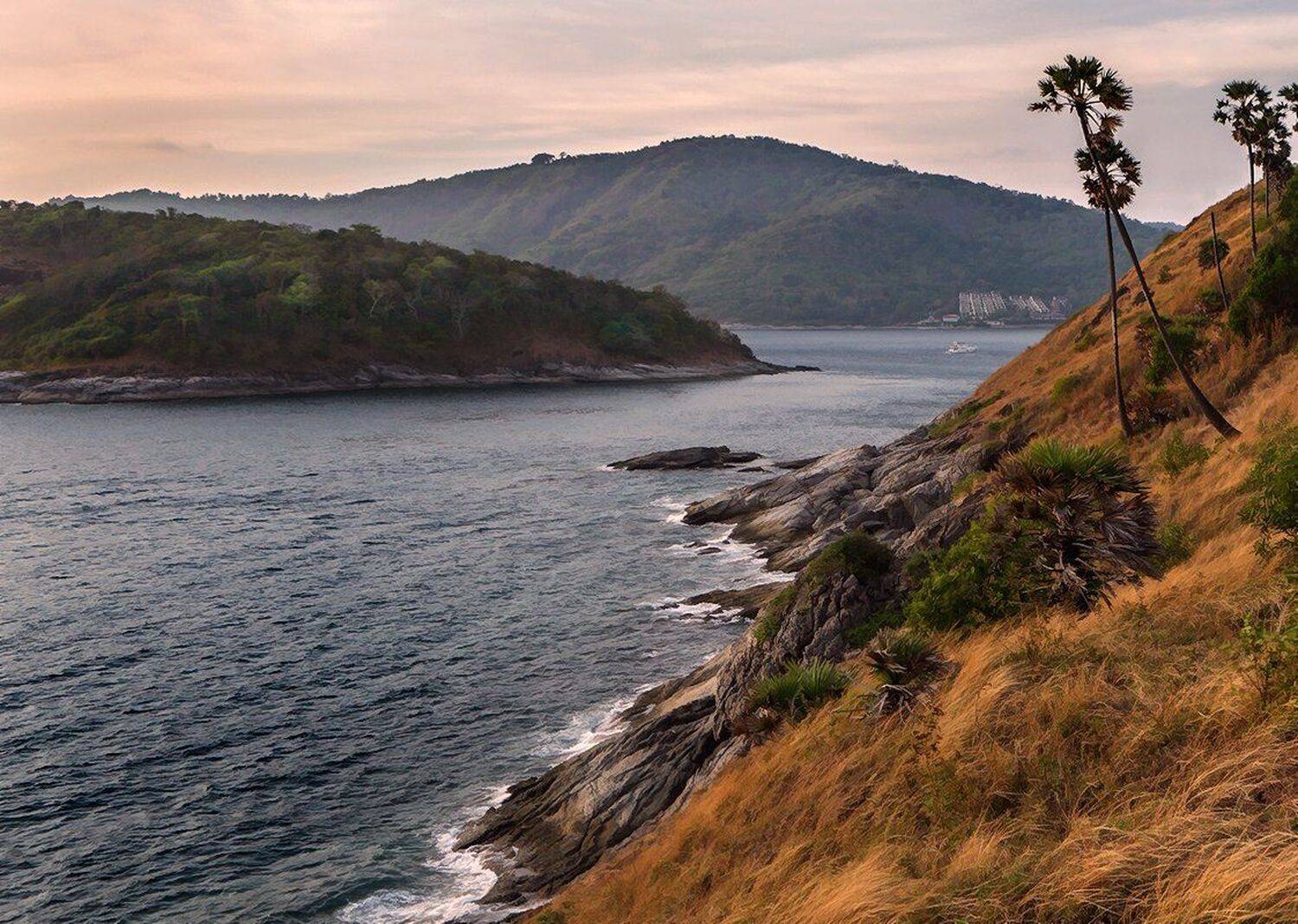 , Игорь Дубровский