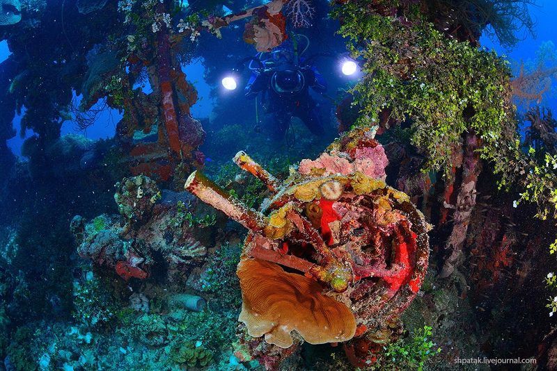 Truk lagoon. Wreck \