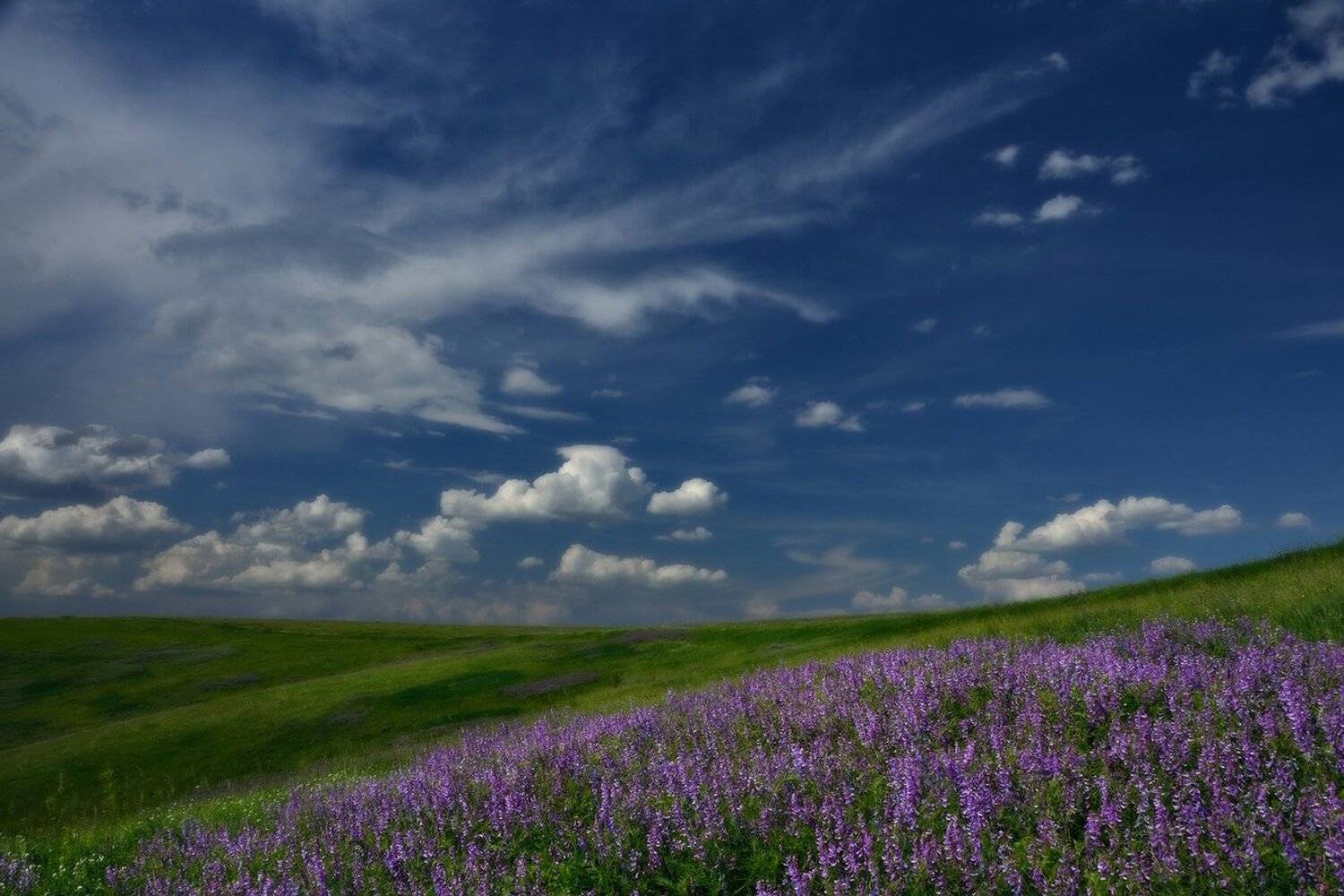 , Животков Андрей