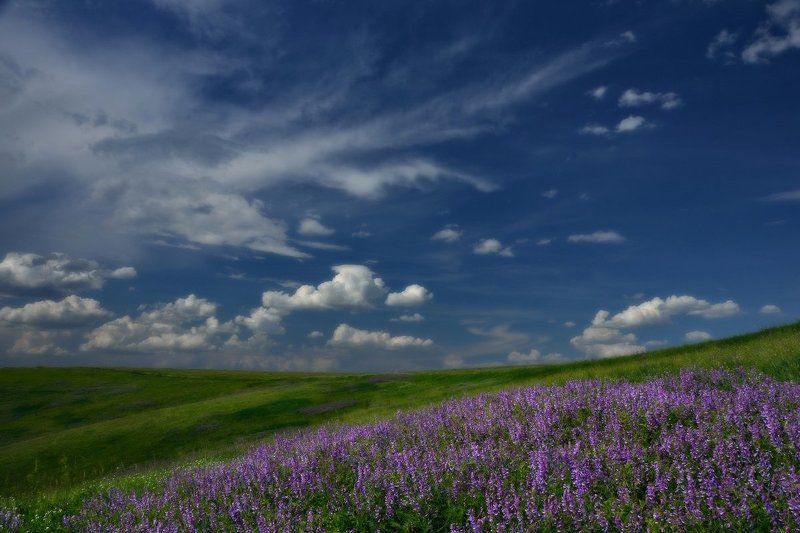 Раздолье фото превью