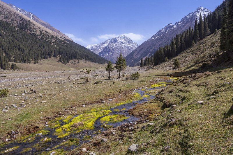 Киргизия. Долина реки Арашан фото превью