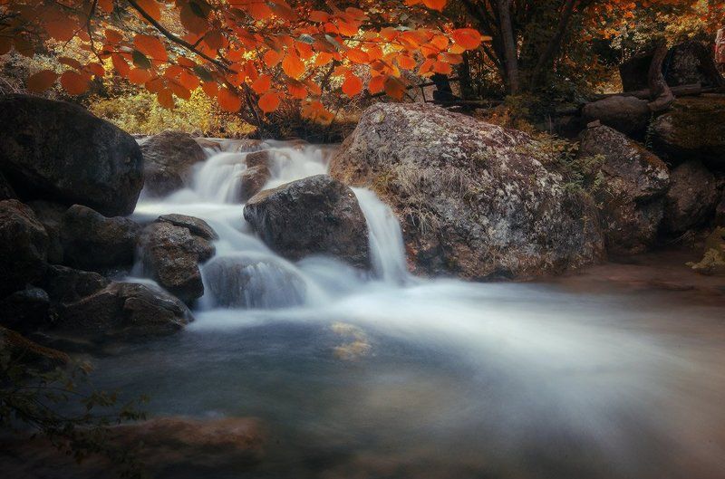 Утренняя свежесть фото превью