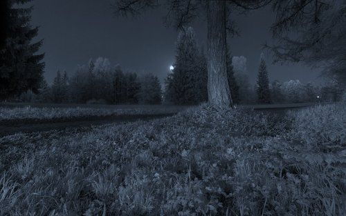 ~121~