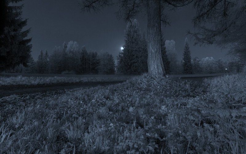 ~121~ фото превью