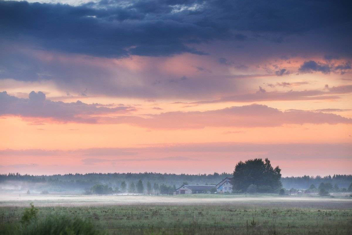 , Вейзе Максим