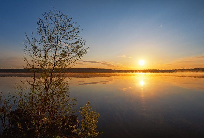 Прозрачность майского рассвета фото превью