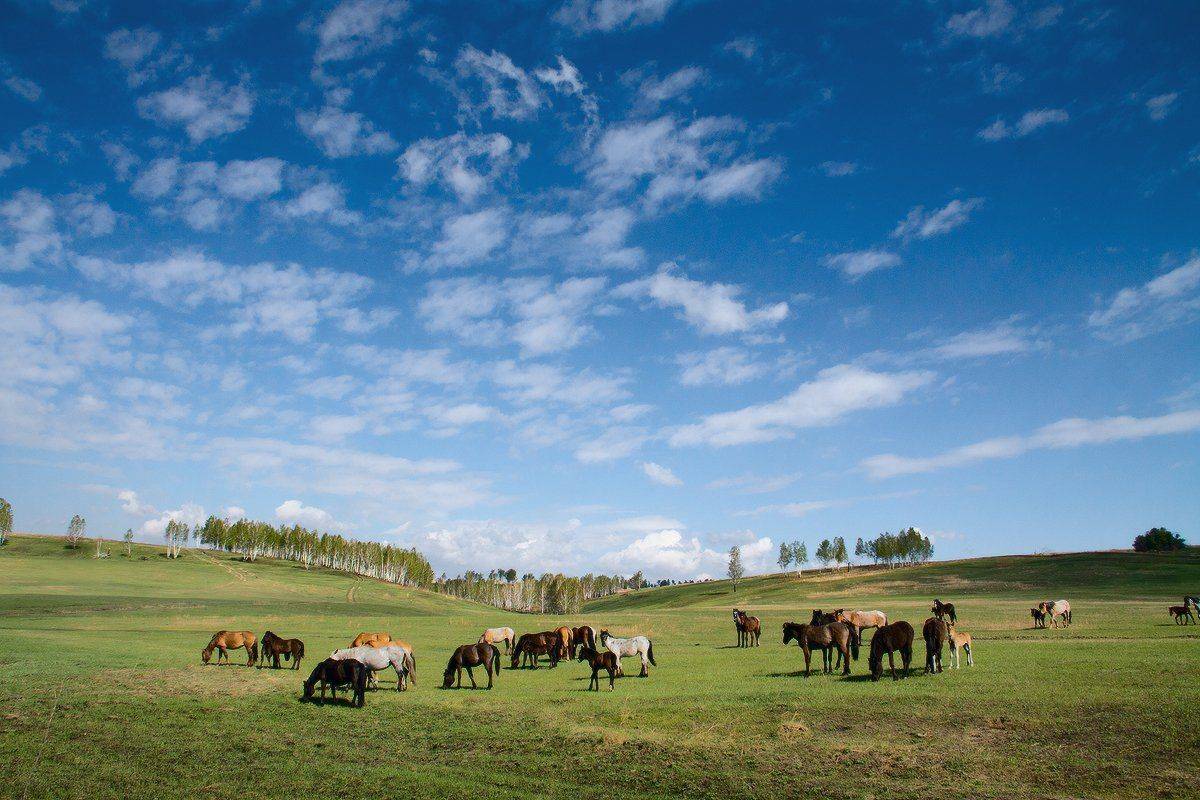 , Николай Морский