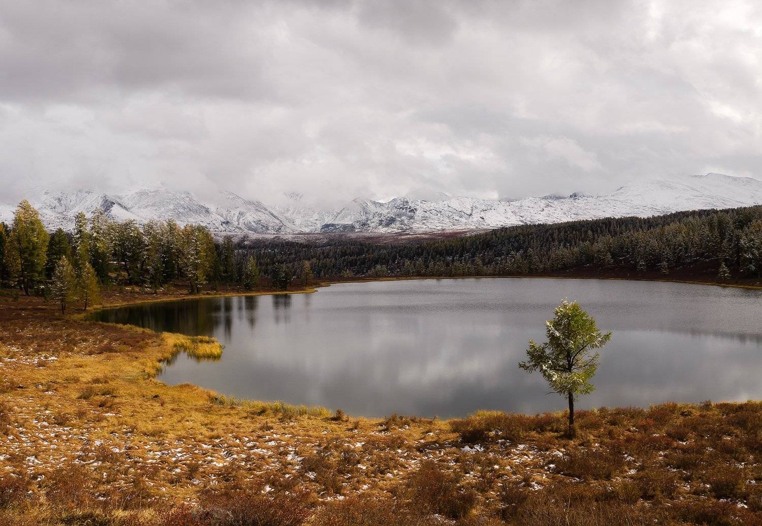 , Лещёнок Александр