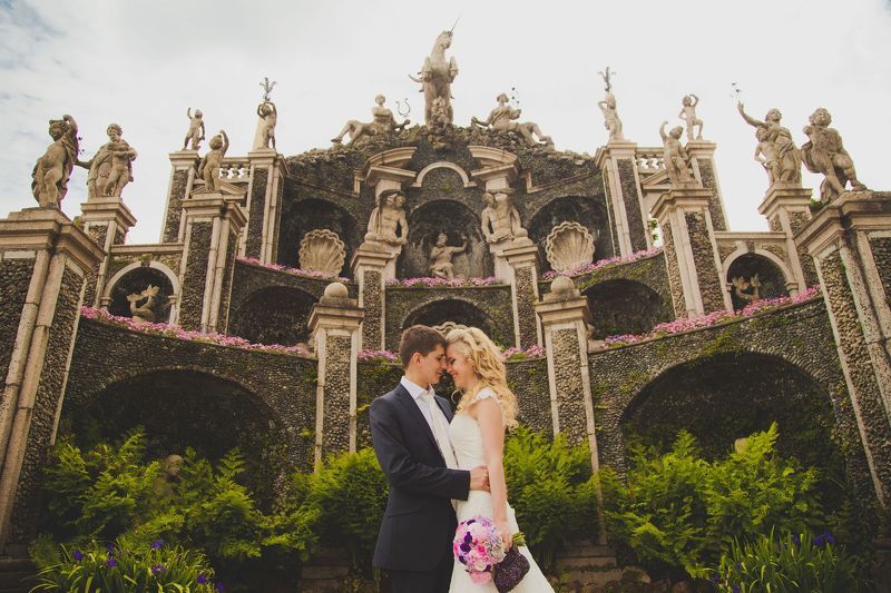 O+P фото превью