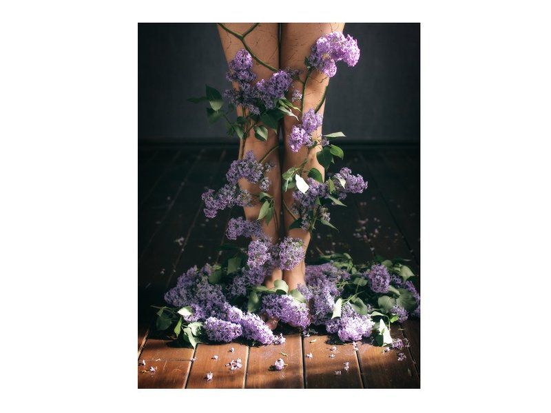 Нимфа, Сирень, Цветы Легенда о речной нимфе Сиринге фото превью