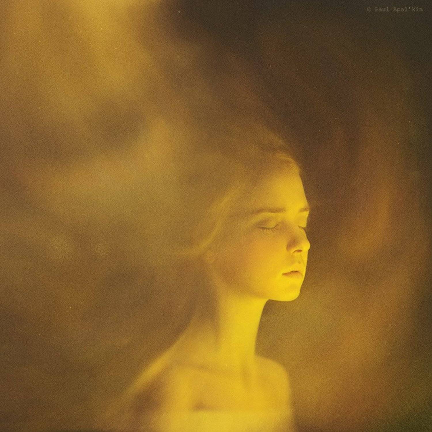 , Павел Апалькин