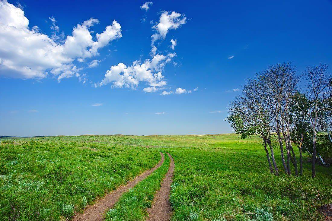 , Качурин Алексей