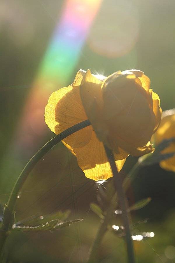 , Сергей Таланов