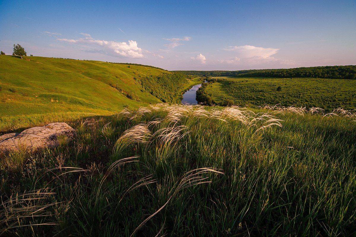 , Олег Логунов