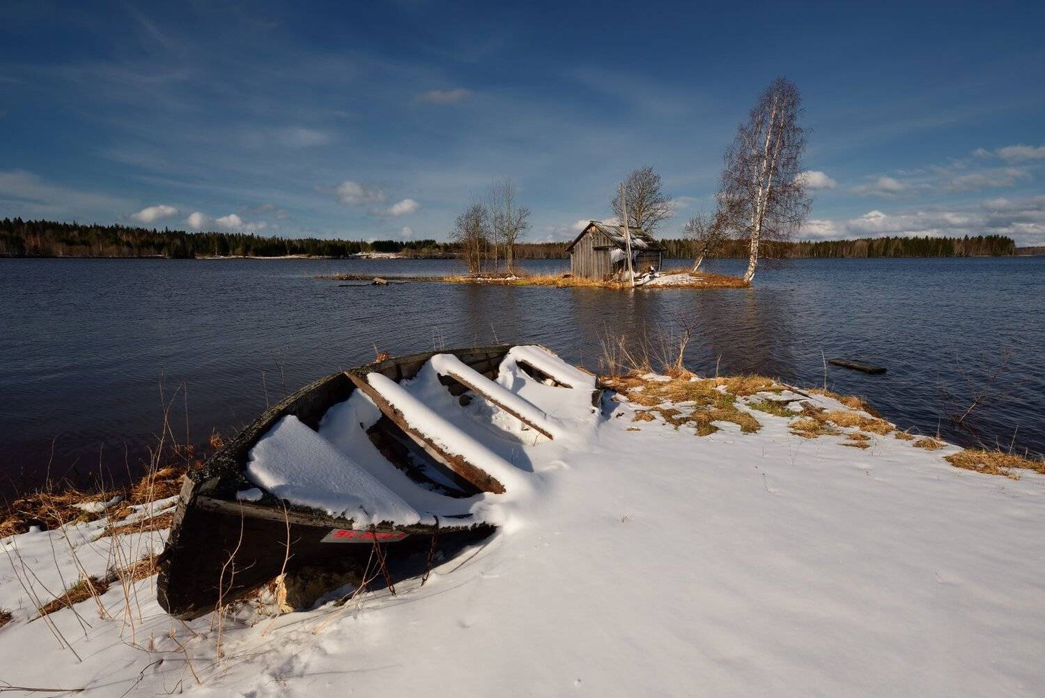 , Максим Евдокимов