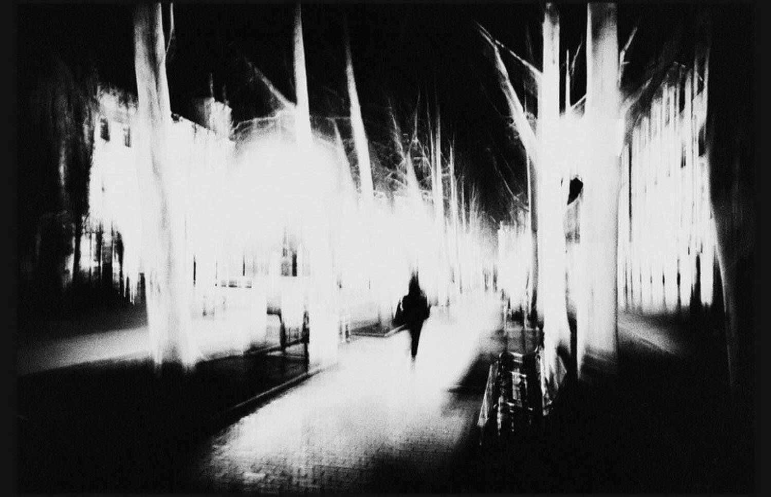 , Бортниченко Дмитрий