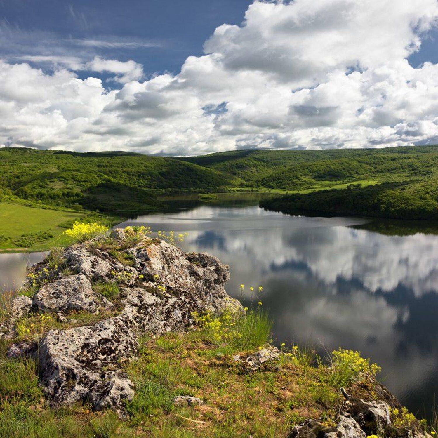 , Ирина Костова