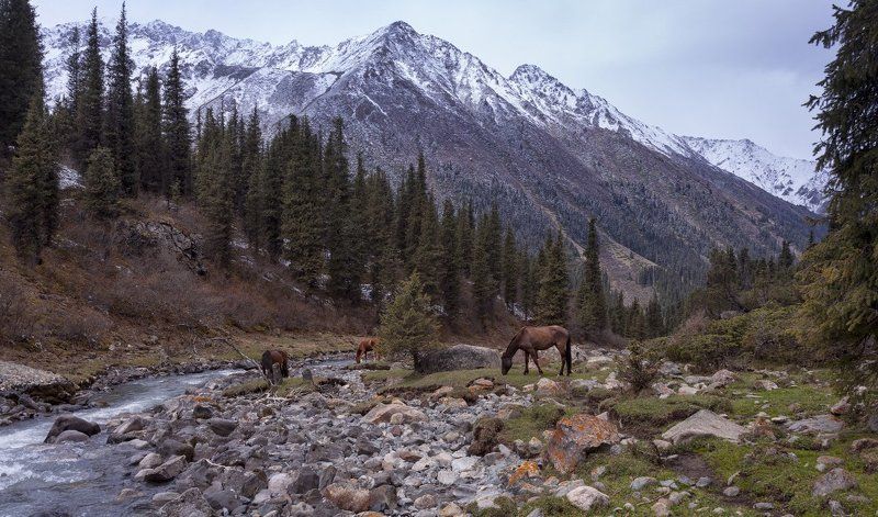 Киргизия. Долина реки Арашан фото превью