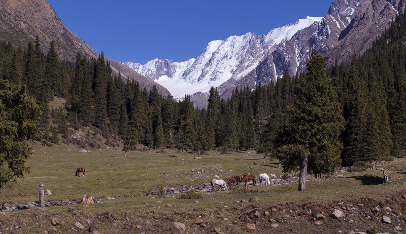 Киргизия. Долина реки Арашан фото превью