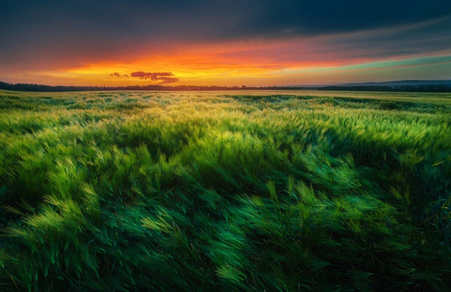 , Алексей Дранговский