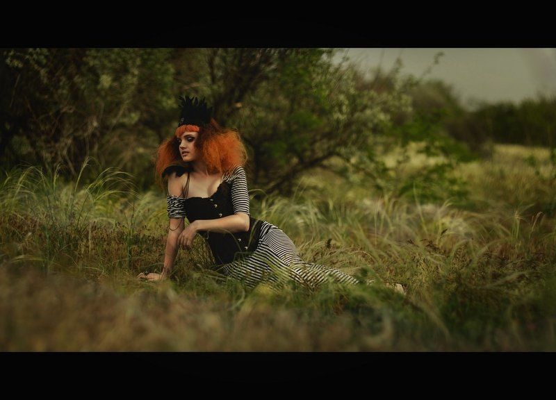 Ковыль фото превью