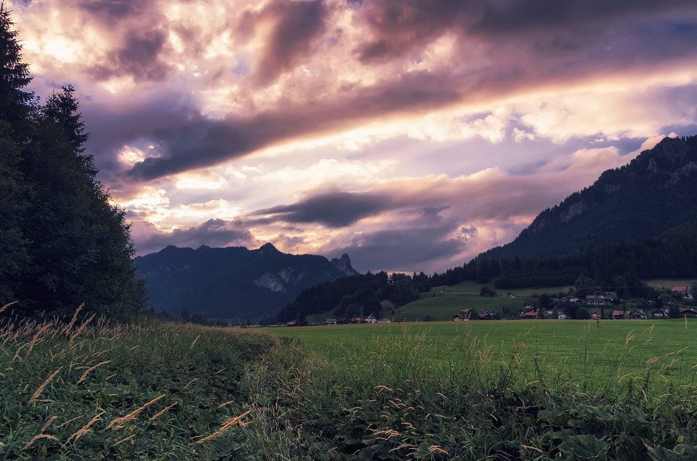 , Игорь Мелекесцев