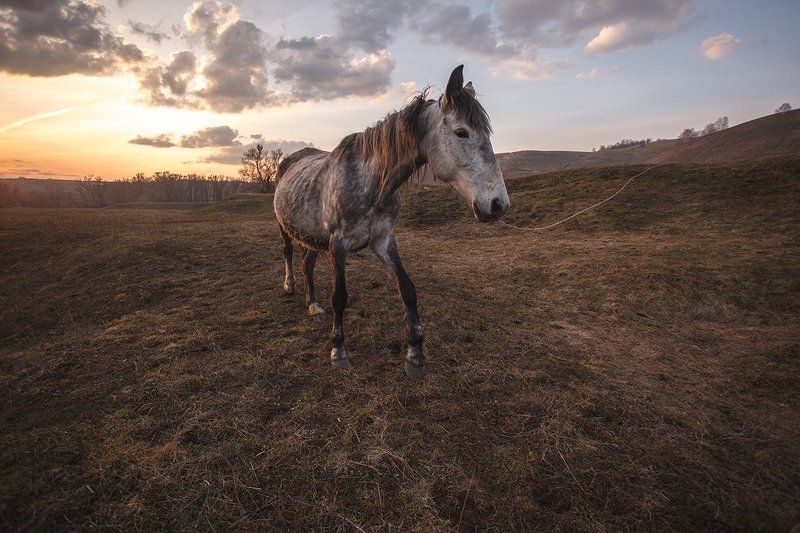 * фото превью