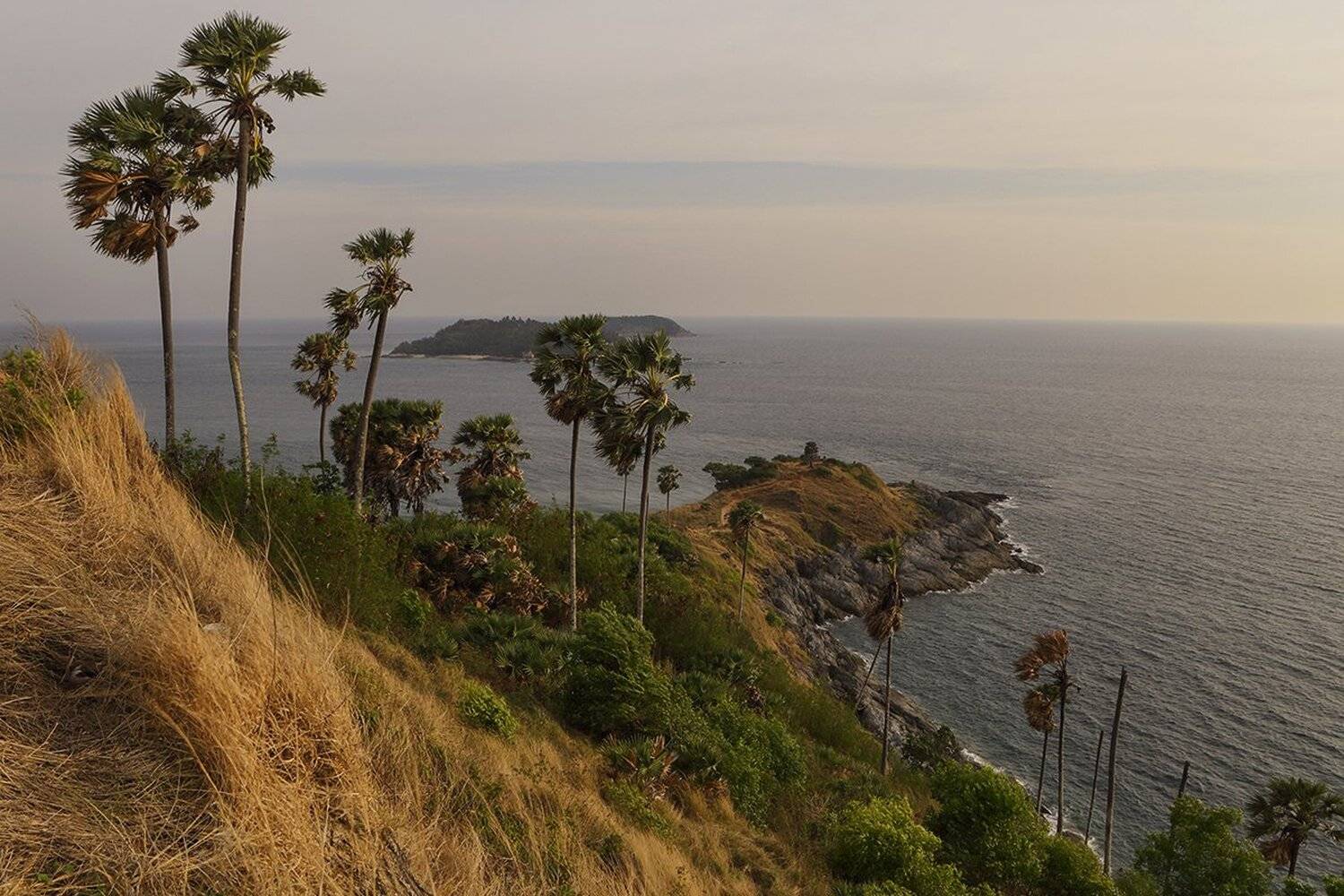 , Игорь Дубровский