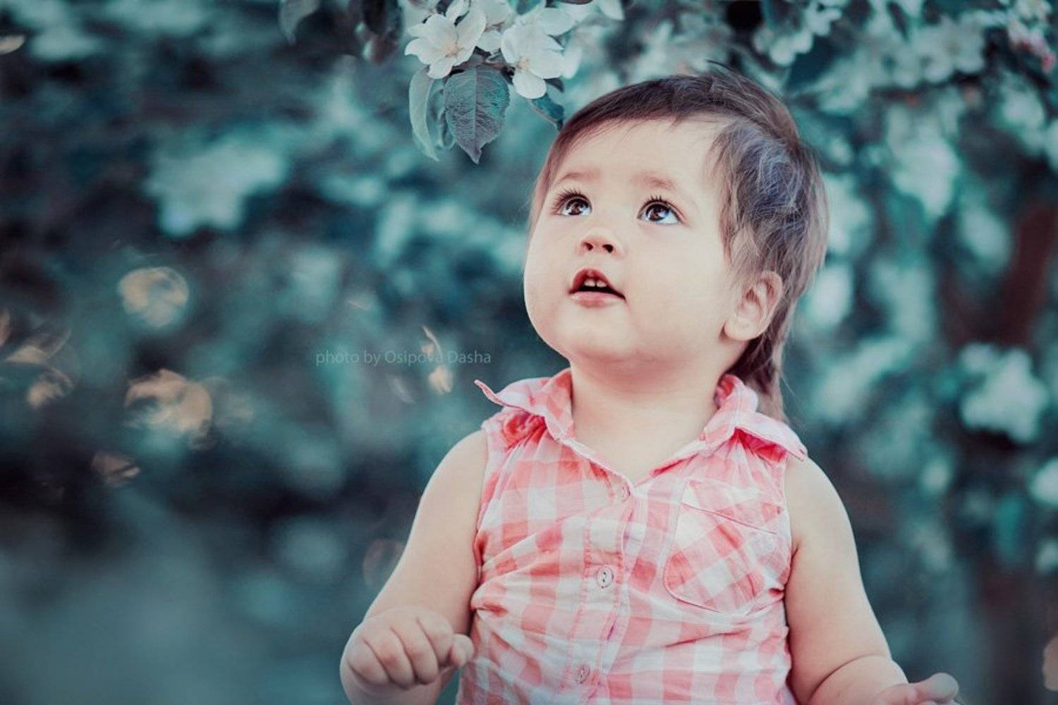 , Осипова Дарья