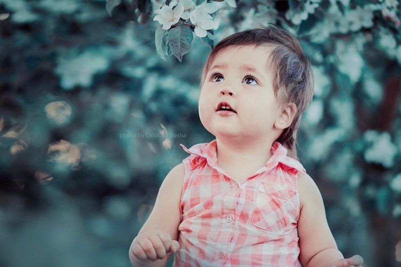 Алиса фото превью